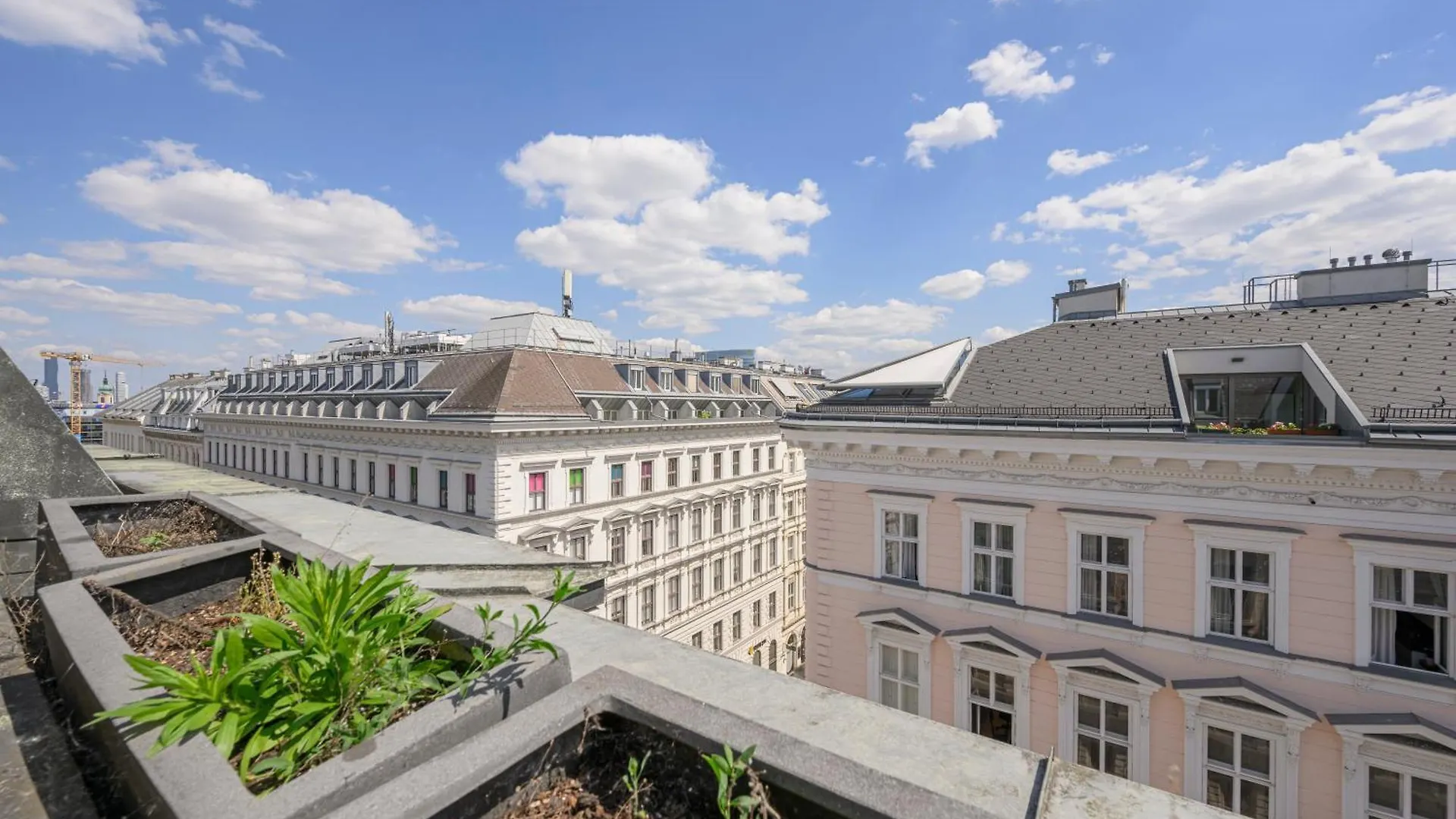 Apartment Executive Suite Schottenring Vienna